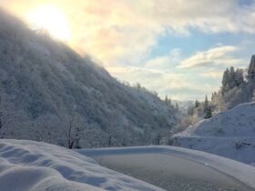 山古志